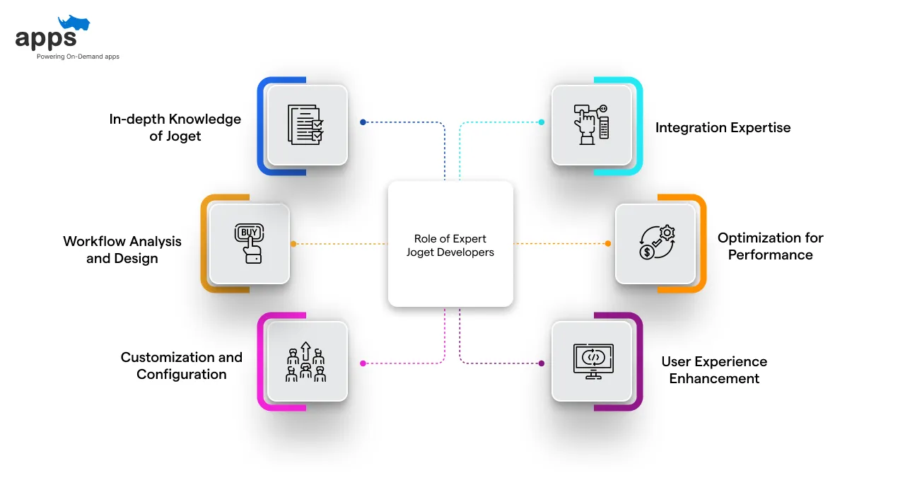 Role of Expert Joget Developers