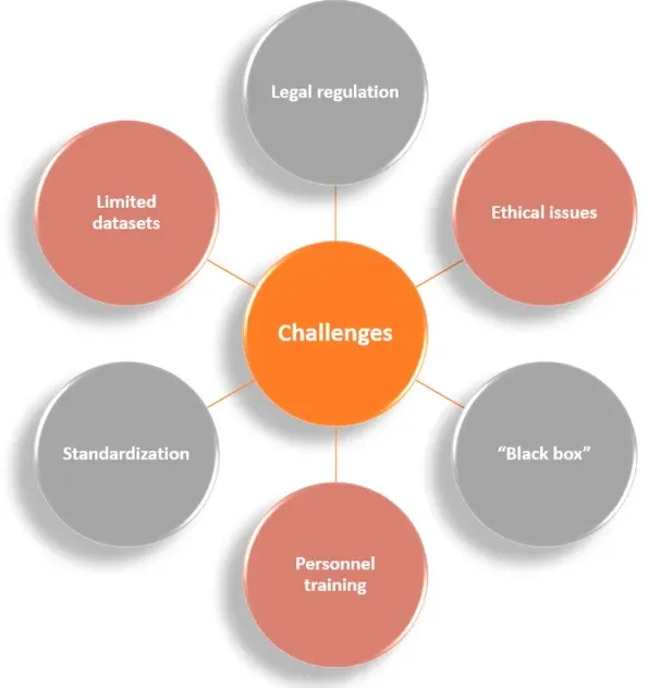 Challenges in AI Integration