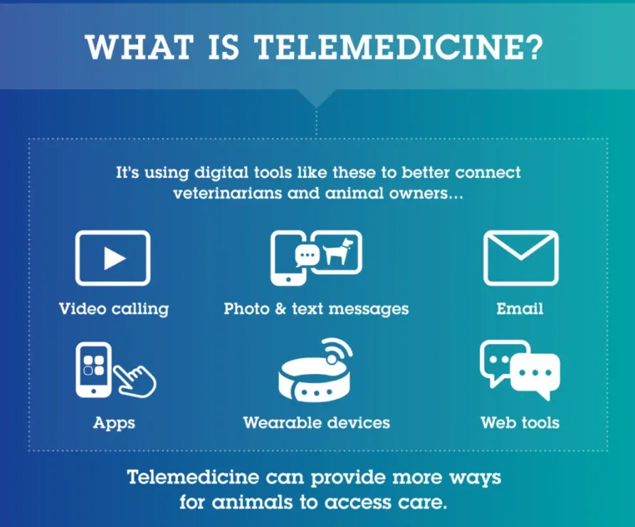 What is Telemedicine?