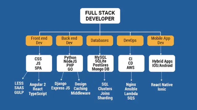 Full stack developer