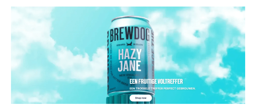 A Closer look at BrewDog