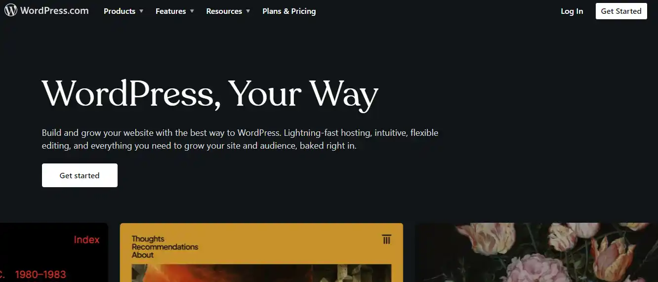 WordPress